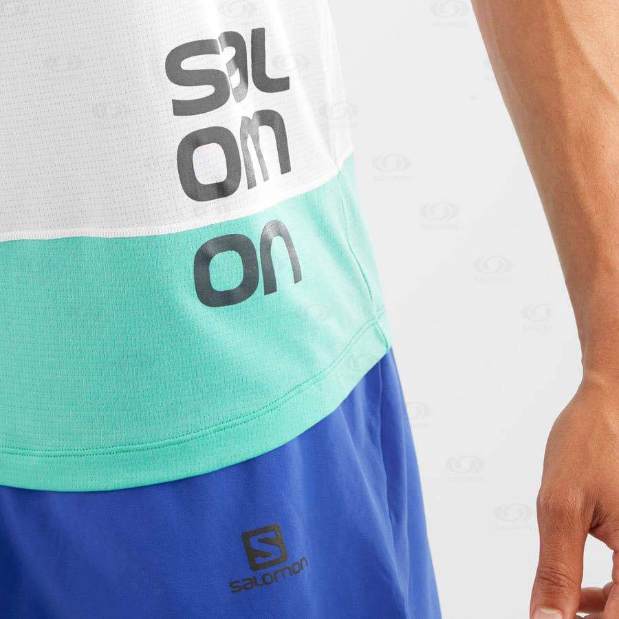 Pánské Tričko Salomon CROSS RUN GRAPHIC Bílé | CZ-L2292
