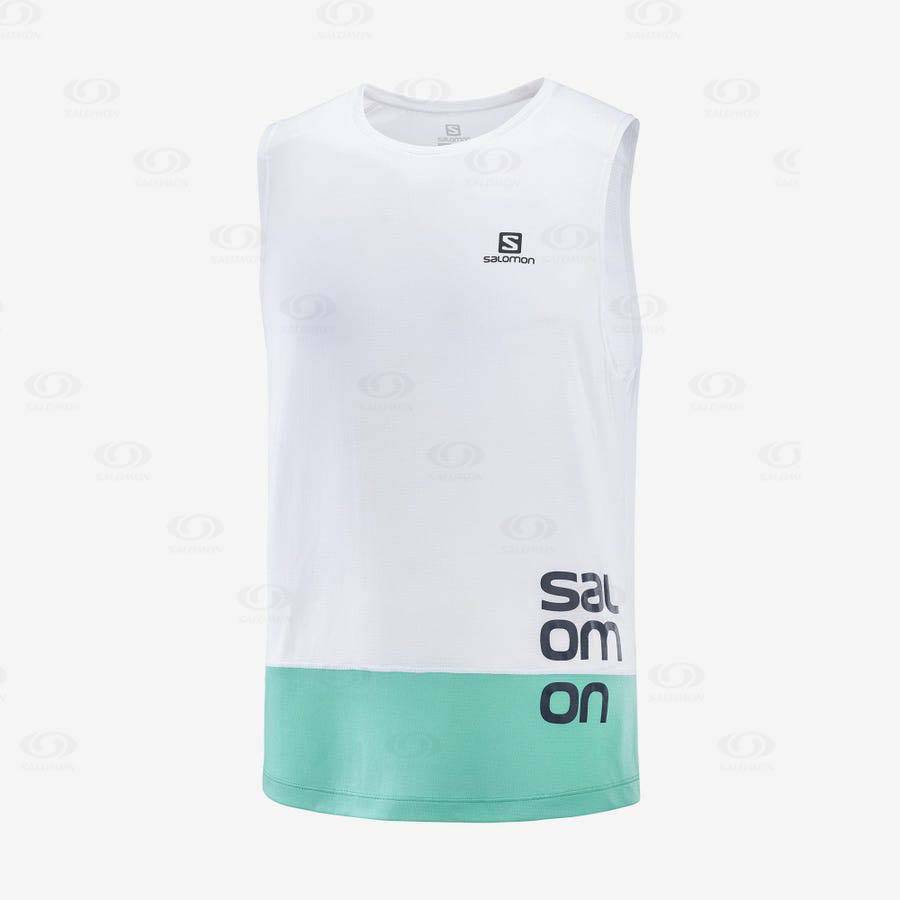 Pánské Tričko Salomon CROSS RUN GRAPHIC Bílé | CZ-L2292
