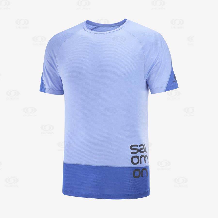 Pánské Tričko Salomon CROSS RUN GRAPHIC Blankyt | CZ-M1132