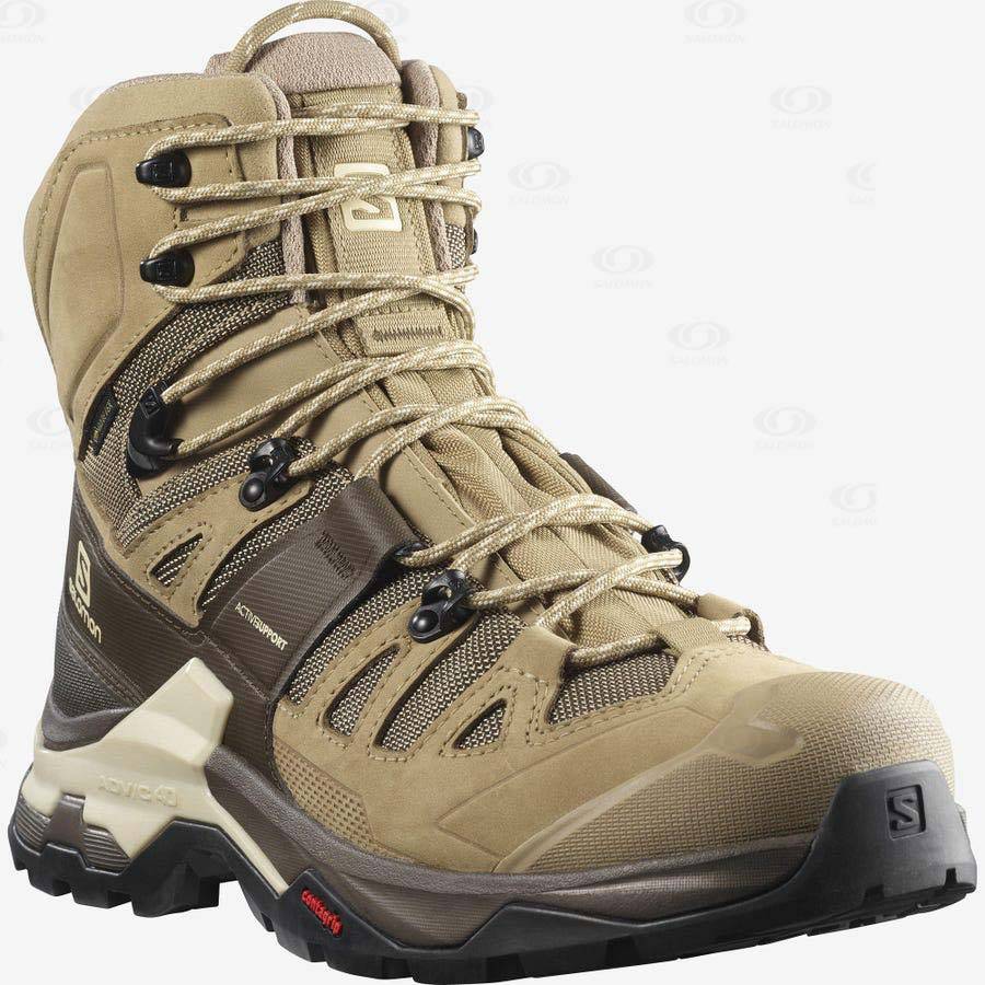 Pánské Turistické Boty Salomon QUEST 4 GORE-TEX Hnědé | CZ-S2437
