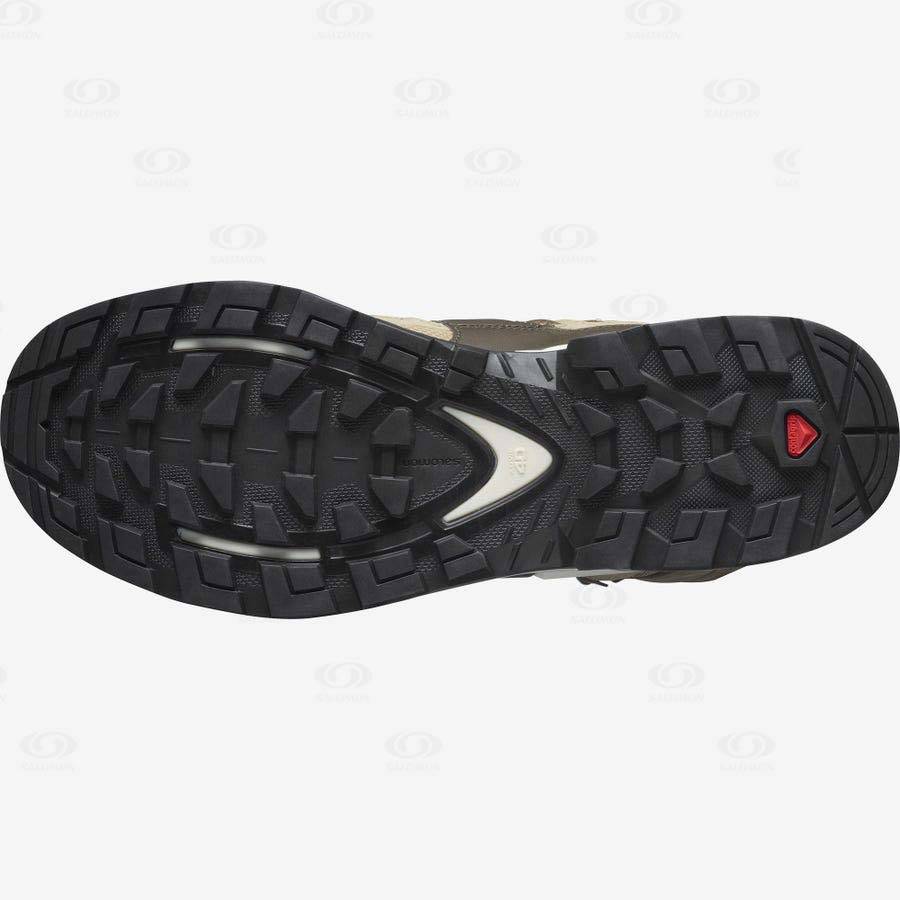 Pánské Turistické Boty Salomon QUEST 4 GORE-TEX Hnědé | CZ-S2437