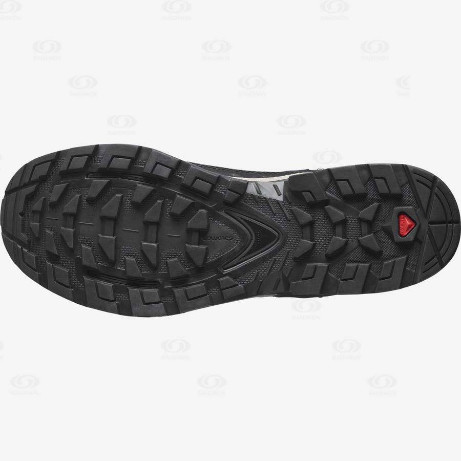 Pánské Turistické Boty Salomon QUEST ELEMENT GORE-TEX Šedé Červené | CZ-W1420
