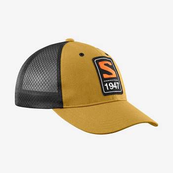 Dámské Klobouky Salomon TRUCKERs Hnědé | CZ-A2074