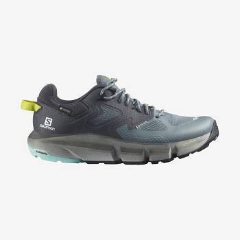 Dámské Nepromokavé Boty Salomon PREDICT HIKE GORE-TEX Stříbrné | CZ-N2135