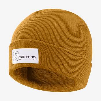 Pánské Klobouky Salomon OUTLIFE LOGO Hnědé | CZ-O1756
