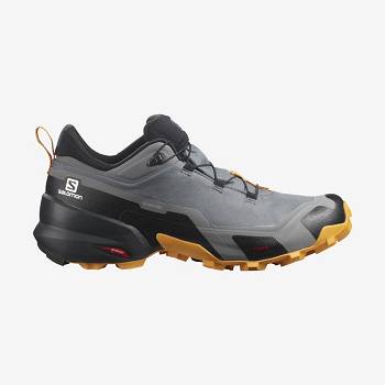 Pánské Nepromokavé Boty Salomon CROSS HIKE GORE-TEX Šedé | CZ-W1650