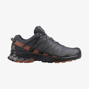 Pánské Trailové Běžecké Boty Salomon XA PRO 3D v8 GORE-TEX Stříbrné | CZ-O2113