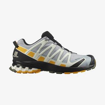 Pánské Trekové Boty Salomon XA PRO 3D v8 GORE-TEX Stříbrné | CZ-N1407