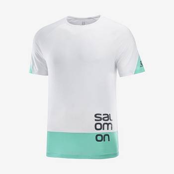 Pánské Tričko Salomon CROSS RUN GRAPHIC Bílé | CZ-N1225