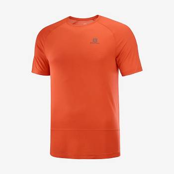 Pánské Tričko Salomon CROSS RUN Oranžové | CZ-N2338
