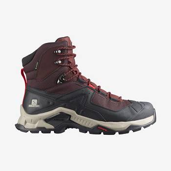 Pánské Turistické Boty Salomon QUEST ELEMENT GORE-TEX Šedé Červené | CZ-W1420