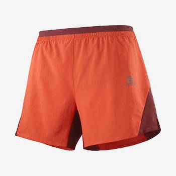 Pánské Šortky Salomon CROSS 5'' Oranžové | CZ-M1790