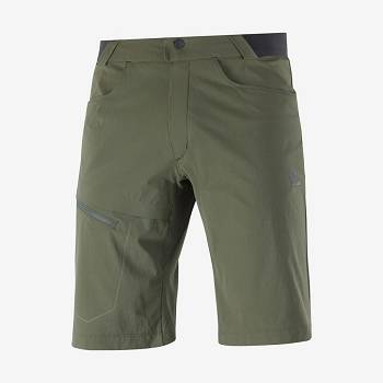 Pánské Šortky Salomon WAYFARER Olivy Zelené | CZ-O1026