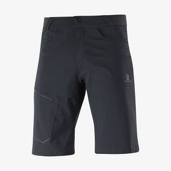 Pánské Šortky Salomon WAYFARER Černé | CZ-W3850