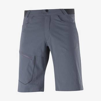 Pánské Šortky Salomon WAYFARER Šedé | CZ-M1013